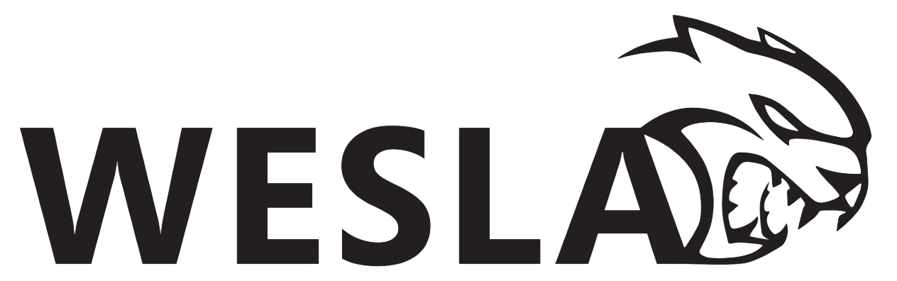 Logo1